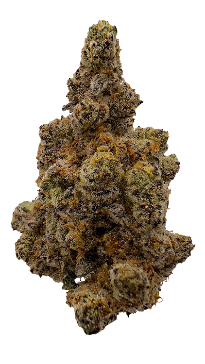 Cookie Wreck Nug shot Contact us about his strain