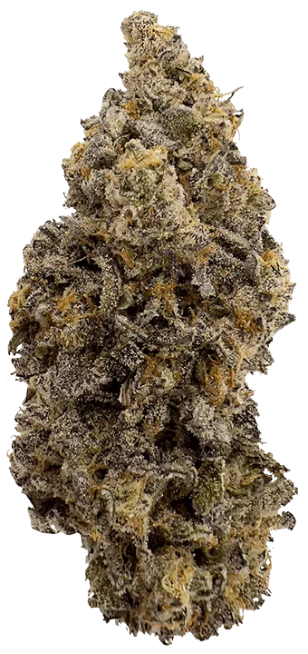 KUSH MINTS Bud Photo, Grown by The Laughing Goat