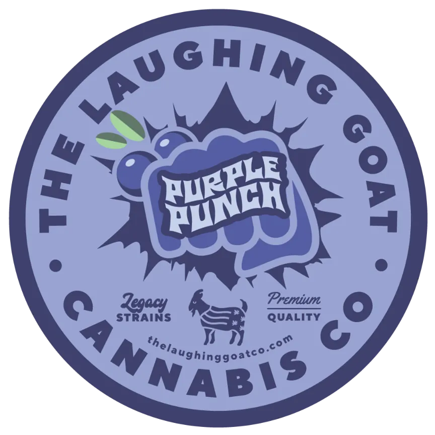 PURPLE PUNCH Decal STICKER