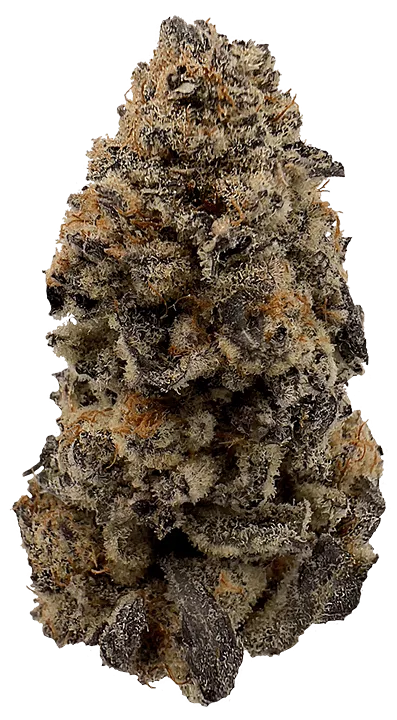 Purple Punch Bud Photo, Grown by The Laughing Goat