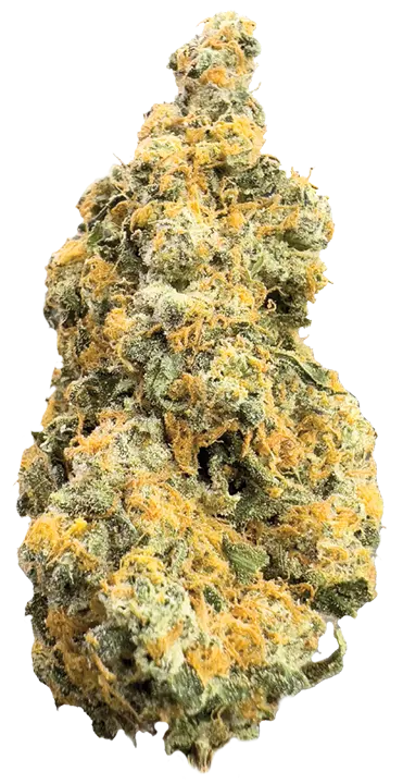 Gmoski Nug Shot The laughing goat exclusive strain