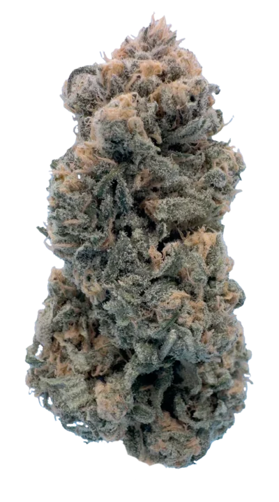 Blue Dream cannabis flower by The Laughing Goat — Oklahoma-grown premium flower
