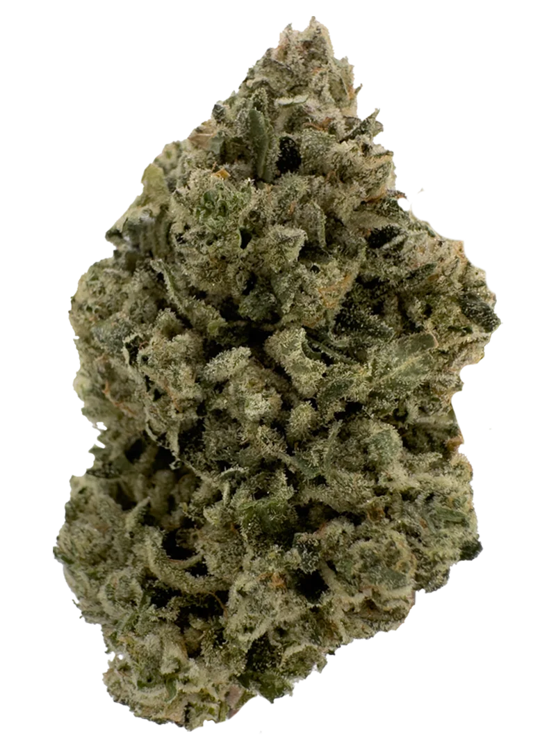 cookie dough sundae cannabis flower by The Laughing Goat — Oklahoma-grown premium flower