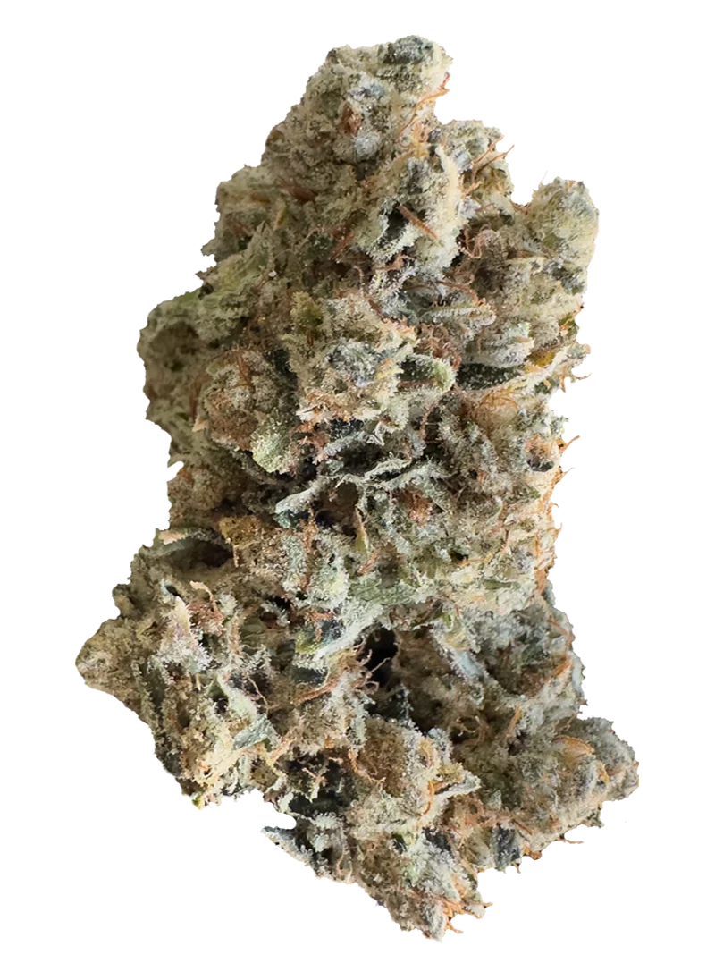 motorbreath 15 cannabis flower by The Laughing Goat — Oklahoma-grown premium flower