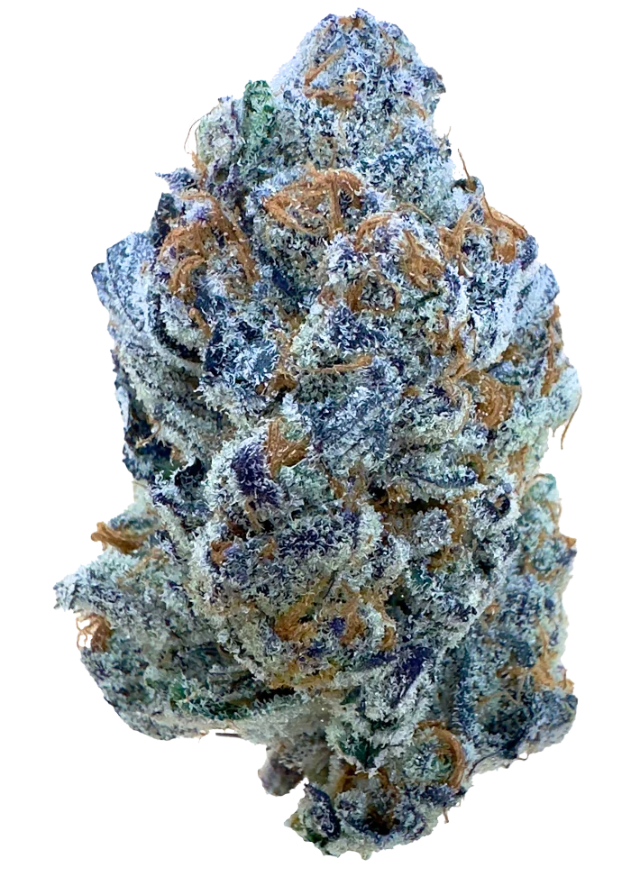 purple dosidos cannabis flower by The Laughing Goat — Oklahoma-grown premium flower