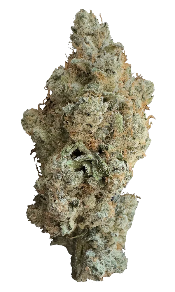 slapz cannabis flower by The Laughing Goat — Oklahoma-grown premium flower